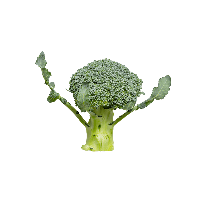 Cauliflower - Image 2