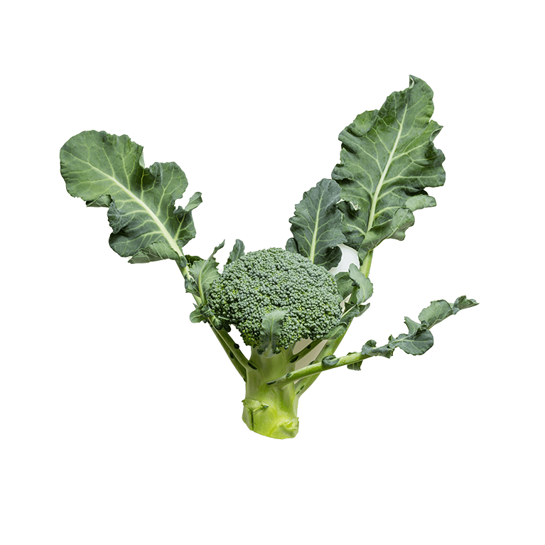 Cauliflower - Image 4